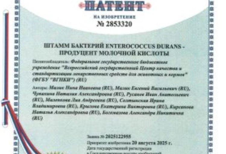 Для производства биопрепаратов и кормовых добавок ВГНКИ» запатентовал новый штамм Enterococcus durans