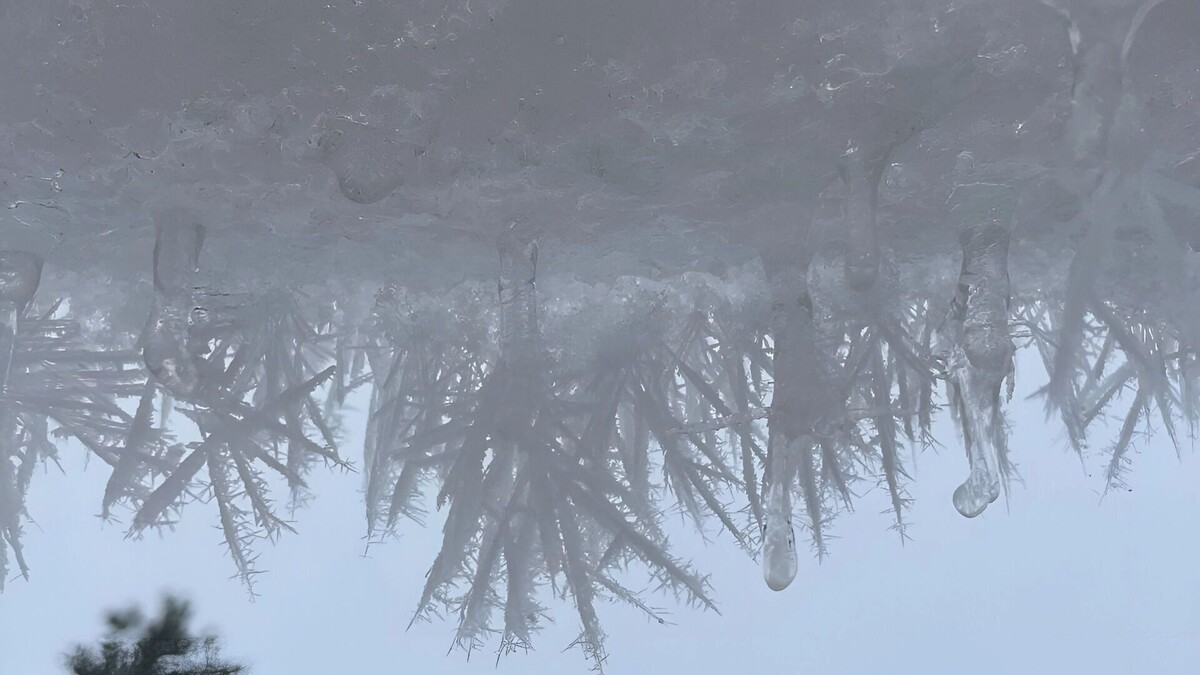    Какой погоды ждать в феврале 2026   1MI