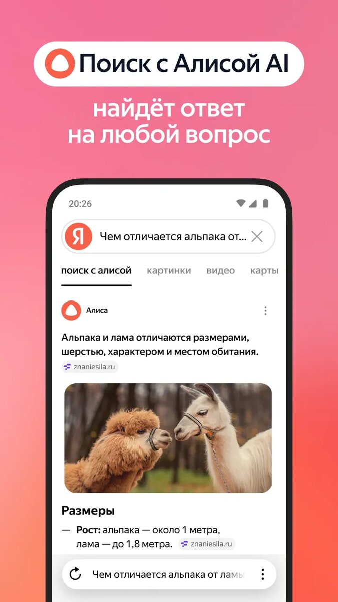 Листайте вправо, чтобы увидеть больше изображений