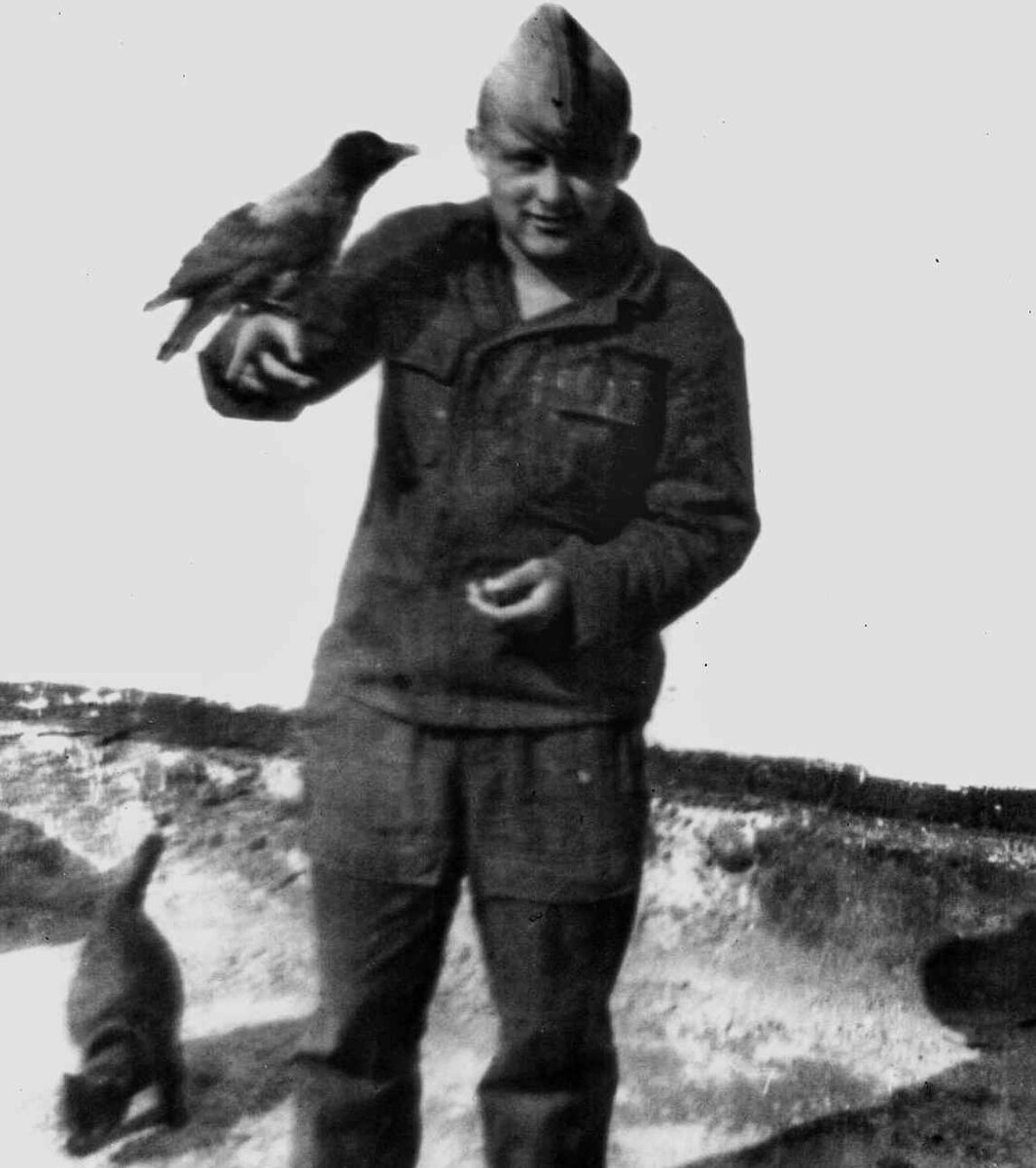 Кар-ра, Гриша и Качмарик