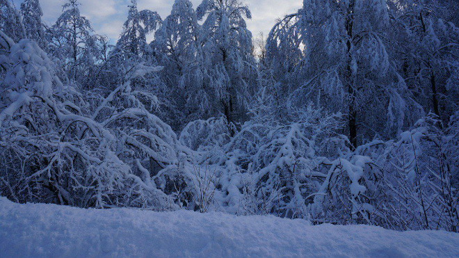 Фото: https://t.me/kprlo/5155?single