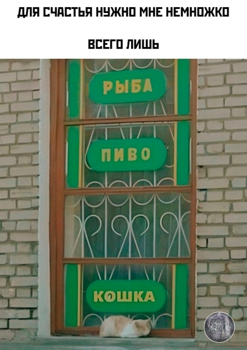 Смех из социальных сетей! Забавные шутки, забавные случаи и веселые рассказы. Фото взято из общедоступных ресурсов соцсетей.