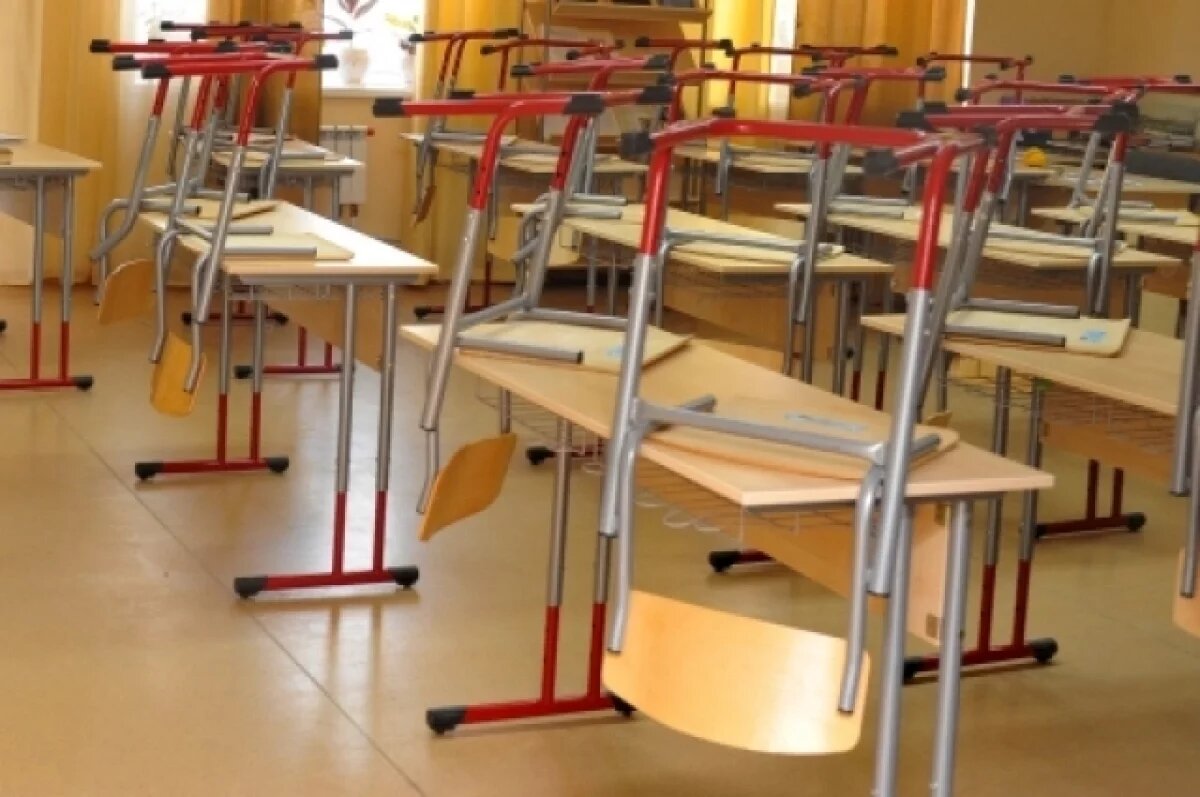    Ульяновским школам рекомендуют отменить уроки для 1 — 4 классов 23 января