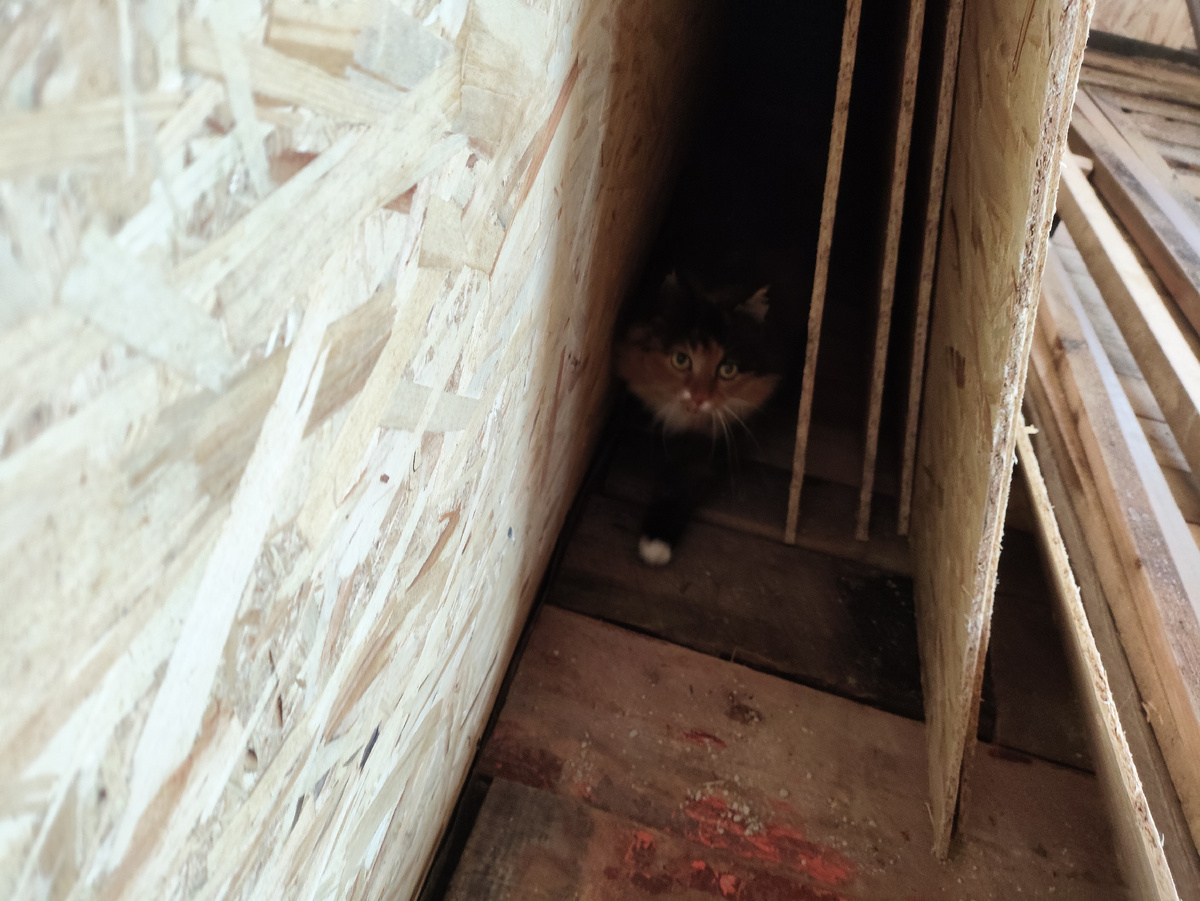 Ретируется...