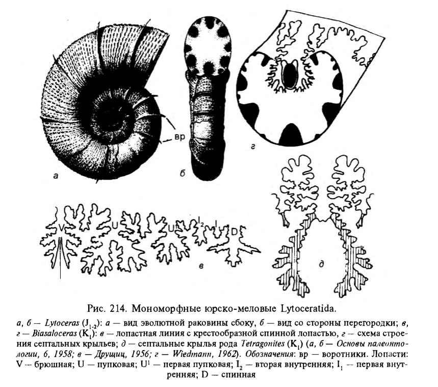 Изображение 5.