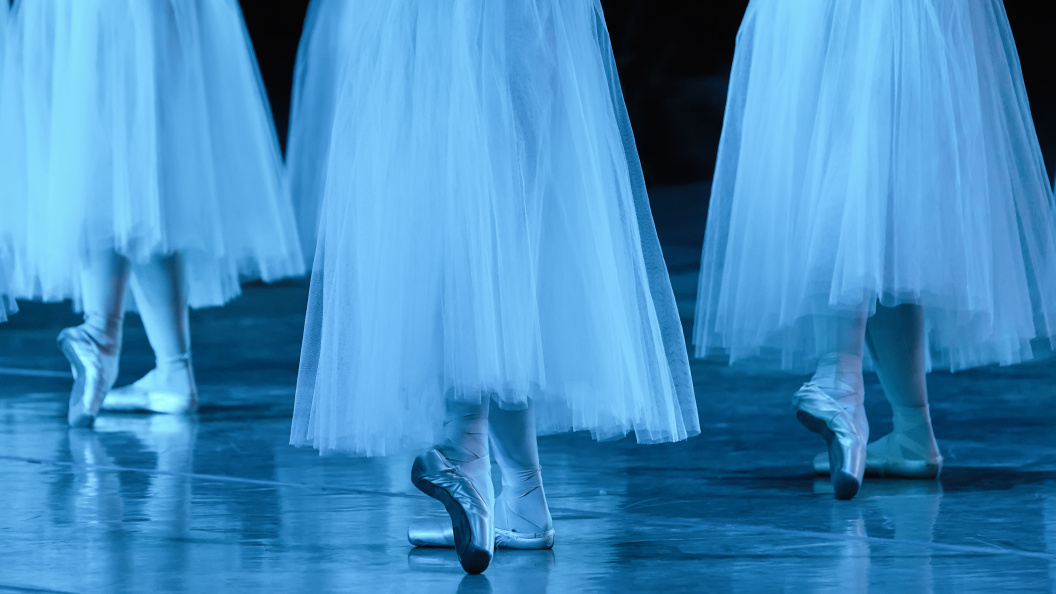    Tricky_Shark/Shutterstock