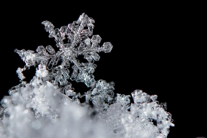 © Patrick Pleul/ DPA/ Picture Alliance via Reuters Connect