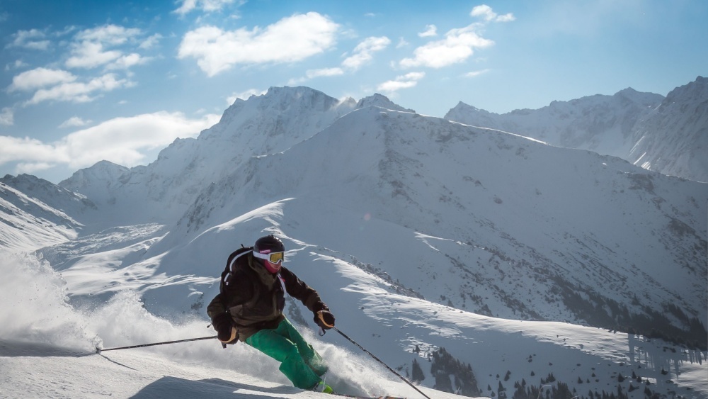     Фото: Darya Ponomaryova/Shutterstock/FOTODOM