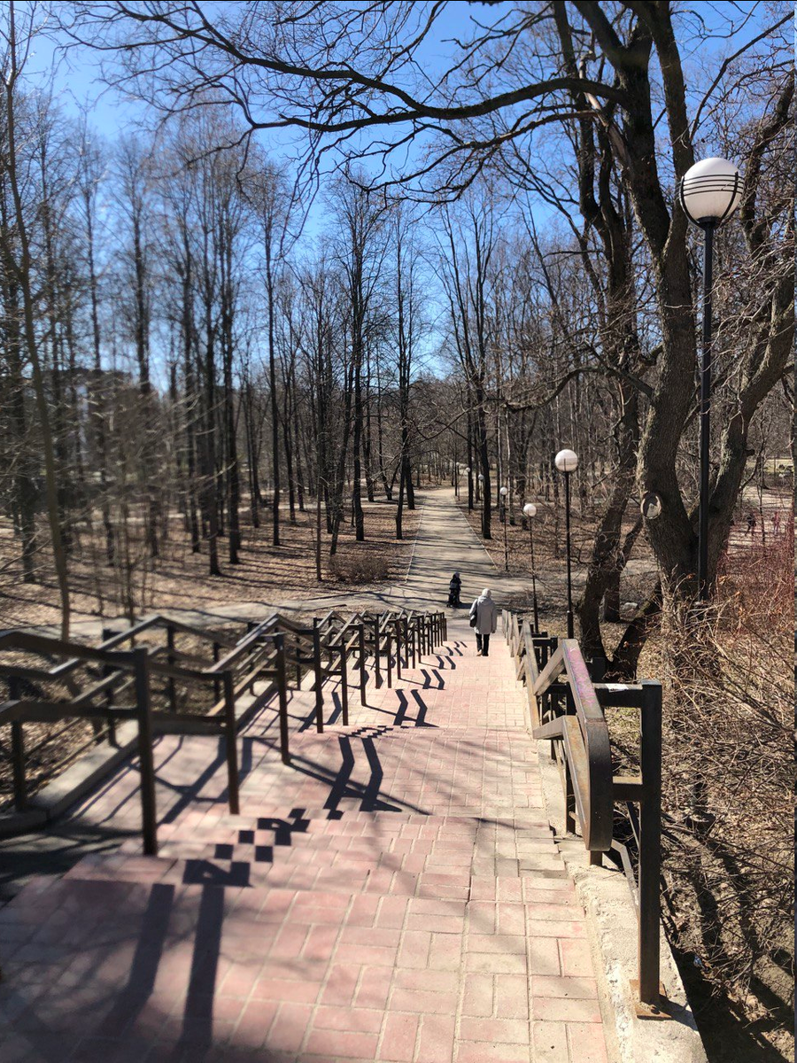 Парк Ямка в Петрозаводске. Фото автора.