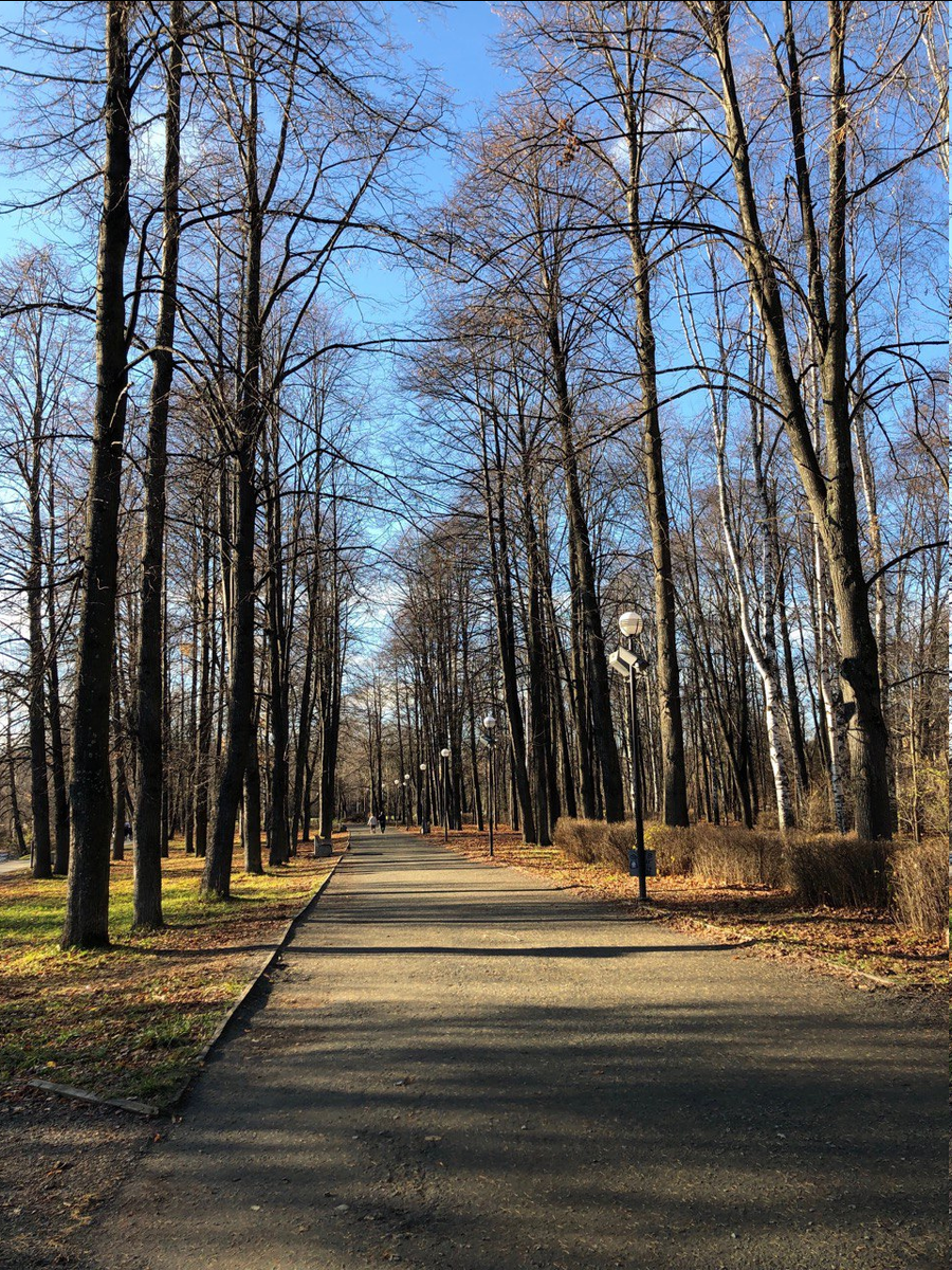 Парк Ямка в Петрозаводске. Фото автора.