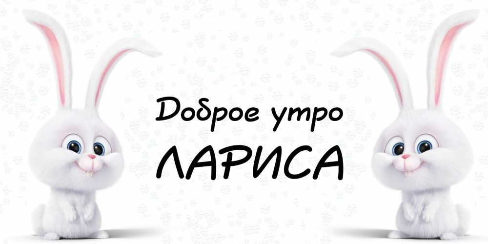 Фото из открытого доступа