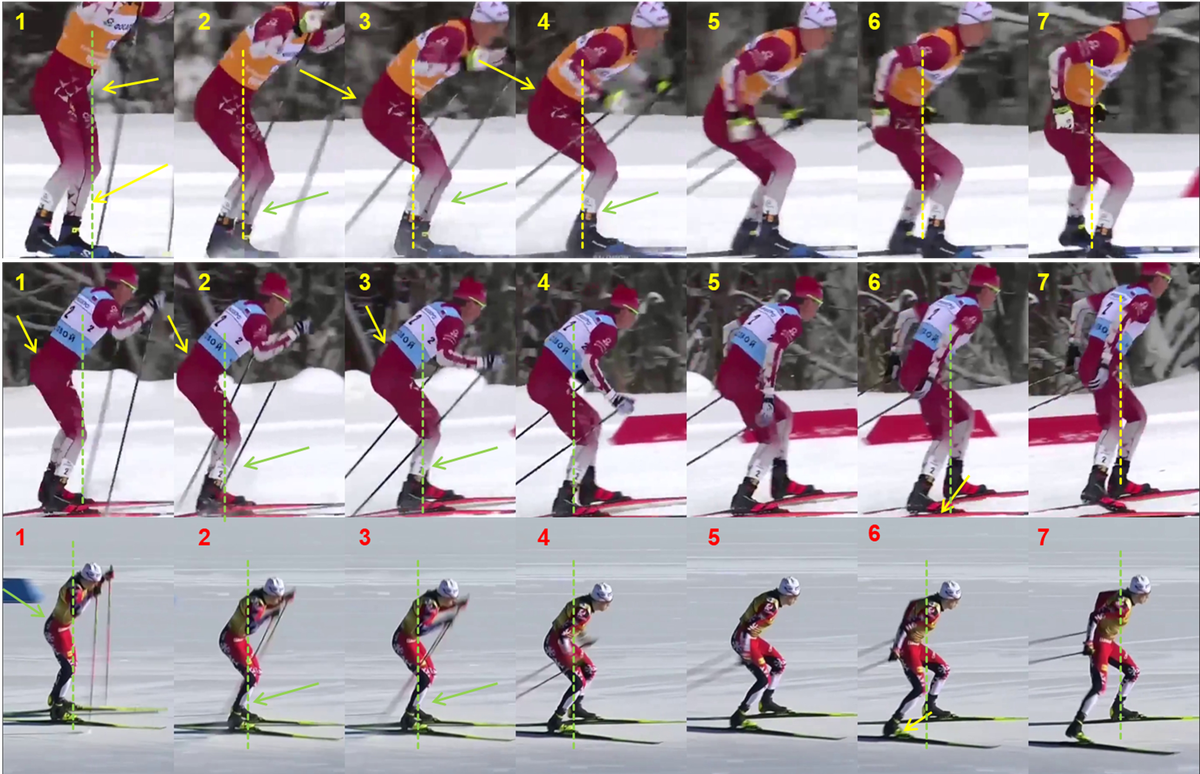 Рис. 2 Фазы скольжения с отталкиванием руками и ногой (сагиттальнаяя съемка)