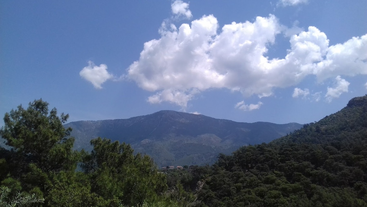 Страхование для поездки