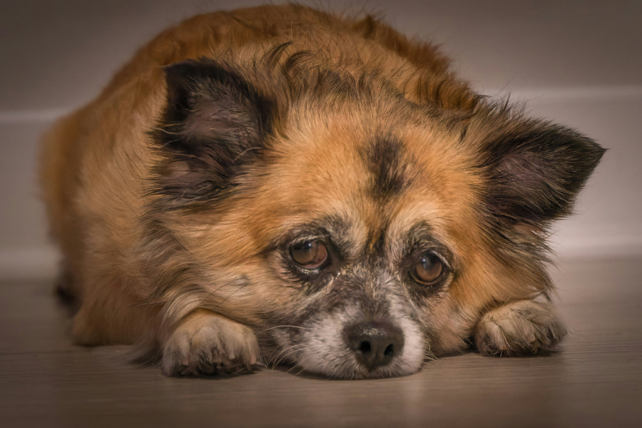 Фото: Karographix photography / Unsplash.com