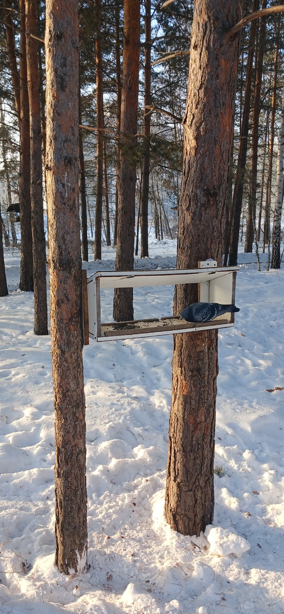 "Доброе утро, мир! Ты прекрасен!  Фото автора
