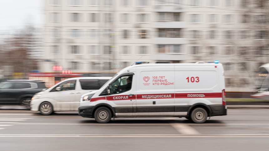    Фото: ИЗВЕСТИЯ/Сергей Виноградов