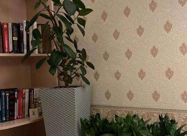 Фото из личного рахива