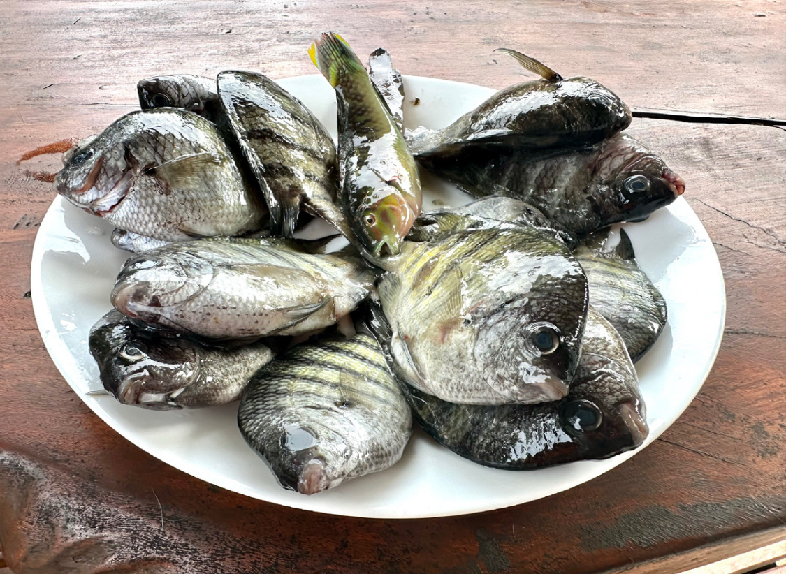 Рыбалка в Сиамском заливе на острове Чанг.