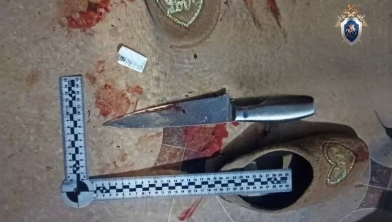      Фото: Телеграм-канал СУ СКР по Ставрополью