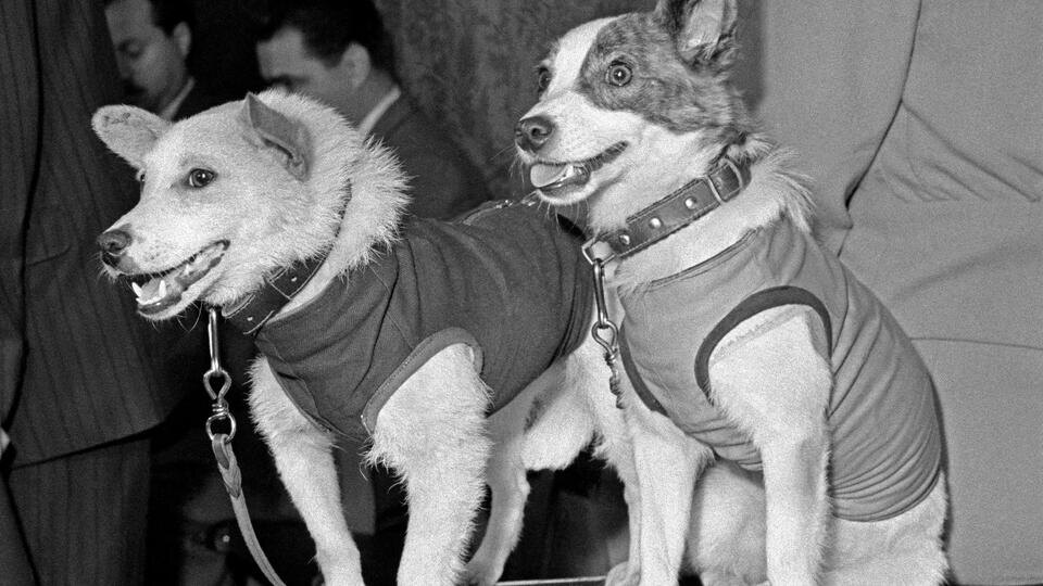 ФОТО: Преображенский Сергей, Ситников Николай/ТАСС