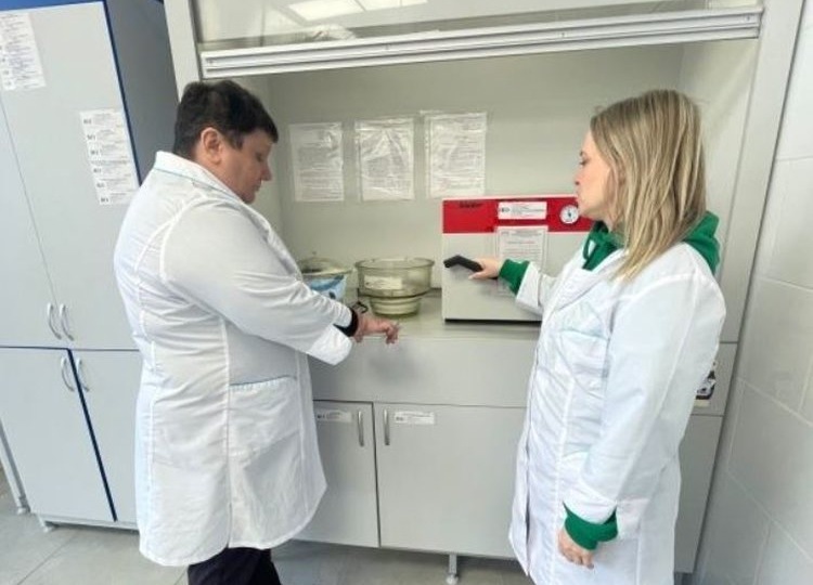 Как именно определяют влажность семян в лаборатории: интересные нюансы процедуры