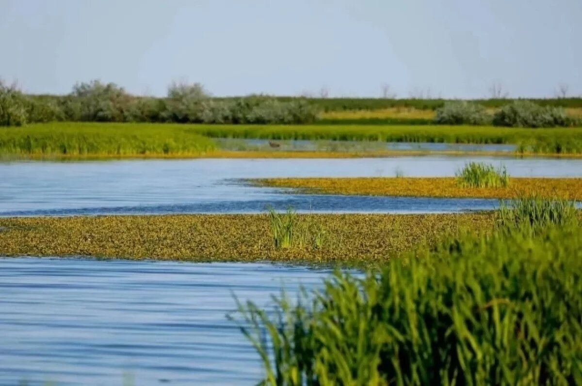    Туристический налог принёс Астраханской области более 40 млн рублей