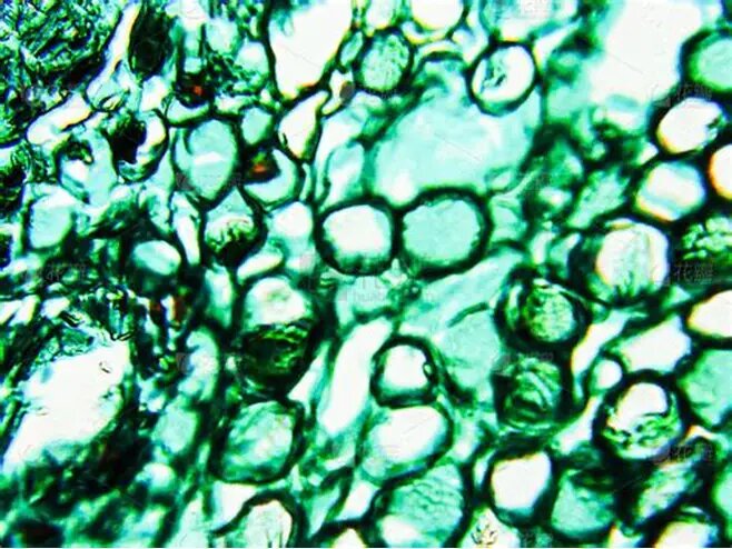 Все изображения взяты из открытых источников, надеюсь меня за это не покарают))