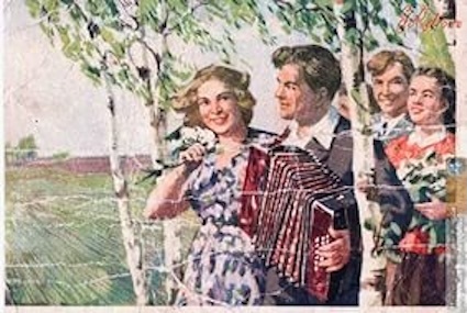 Сорвала я цветок полевой