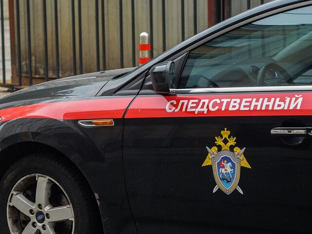    Фото: Москва 24/Анастасия Корнишкина