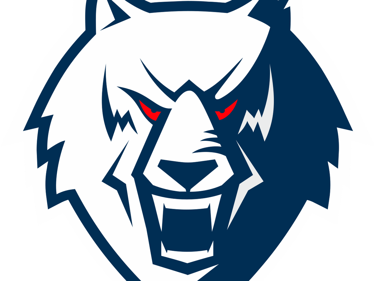    ХК Нефтехимик эмблема | © Фото