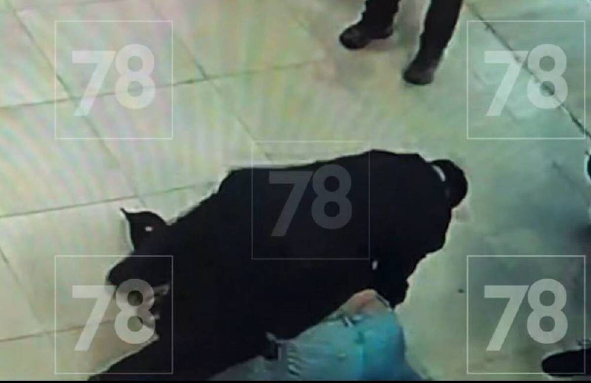    Фото: скриншот видео / 78 / Telegram