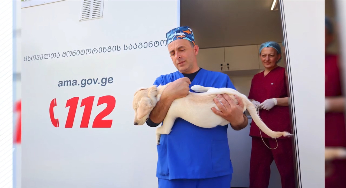 *Фото: Агентство мониторинга за животными 