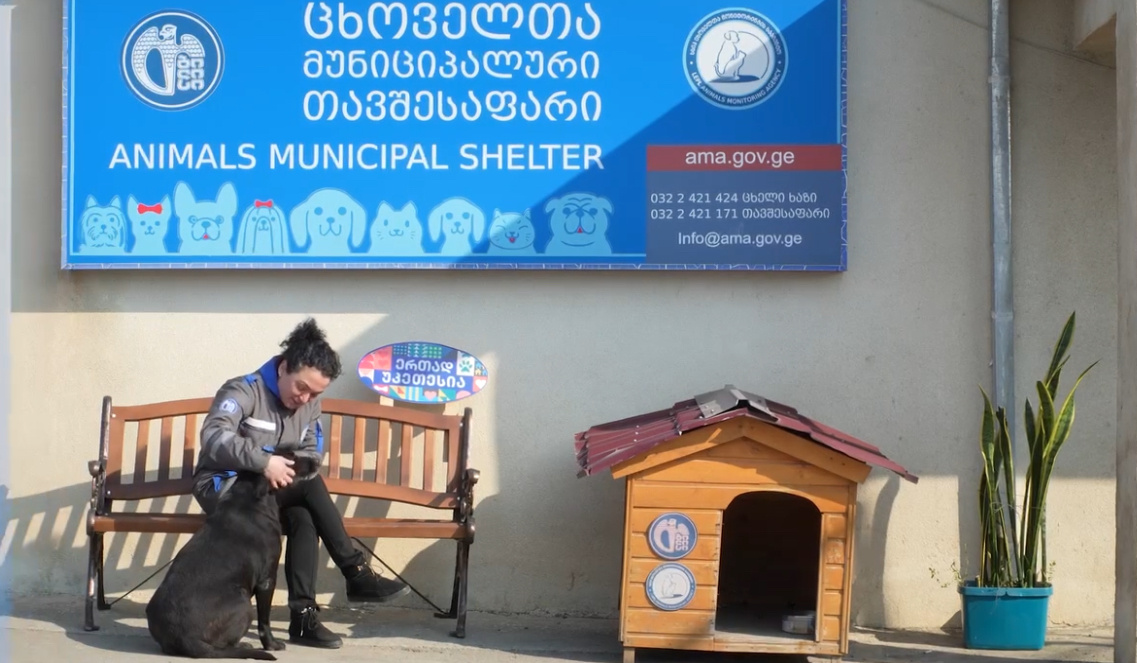 *Фото: Агентство мониторинга за животными 