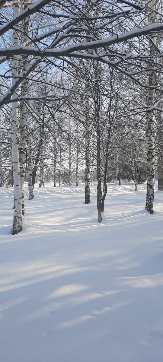 Ах, какая зимушка! 👍👍👍👍