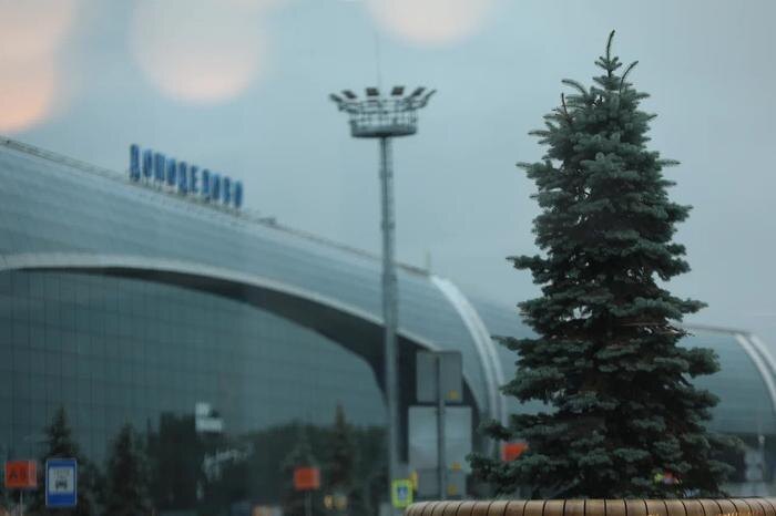 Аэропорт Домодедово. Обложка © Life.ru