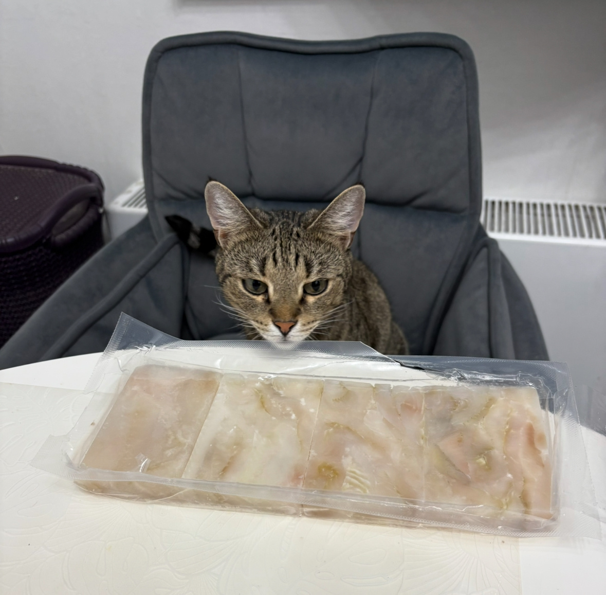 Встреча встреч