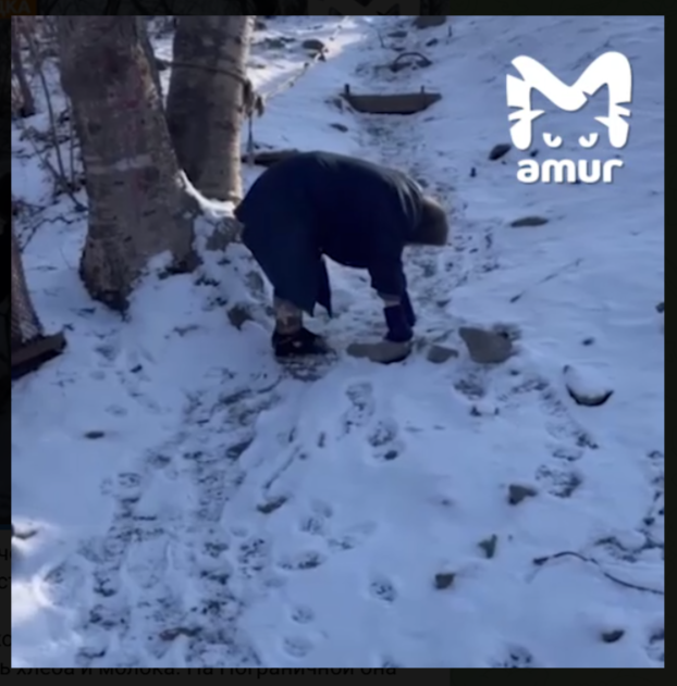    Скриншот: Телеграм-канал Amur Mash