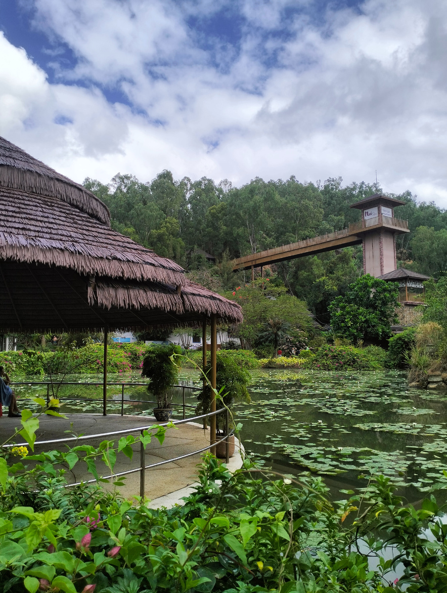 Озеро с кувшинками