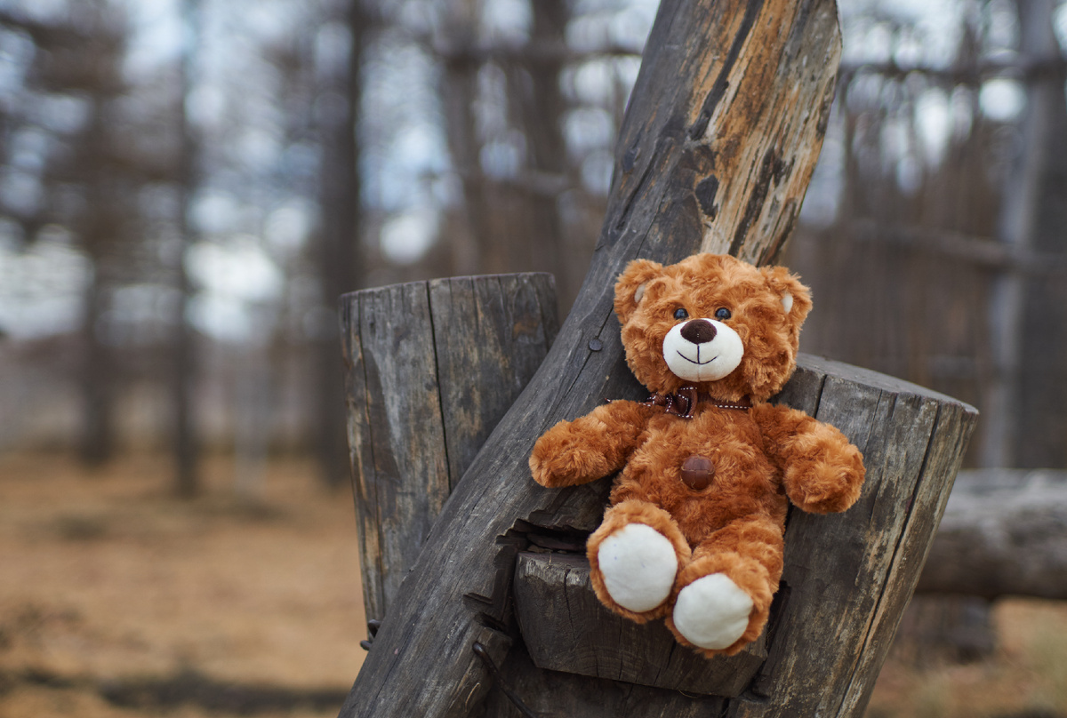 @rustamxakim/Shutterstock.com