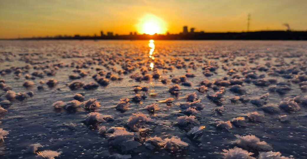 Ледяные «розы» необыкновенной красоты распустились на Воронежском водохранилище
