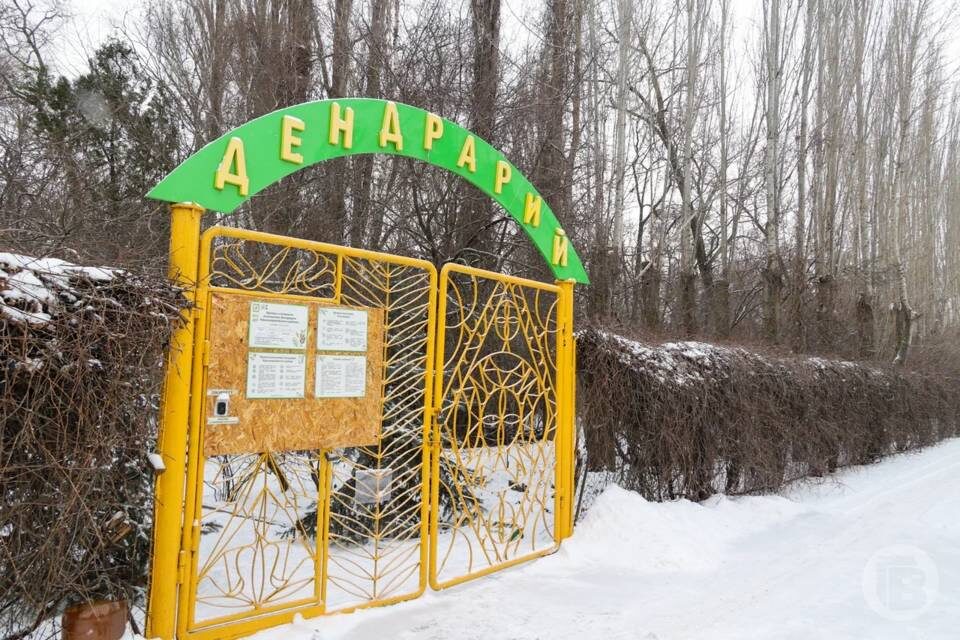    Фото: Дмитрий Рогулин/"Городские вести"