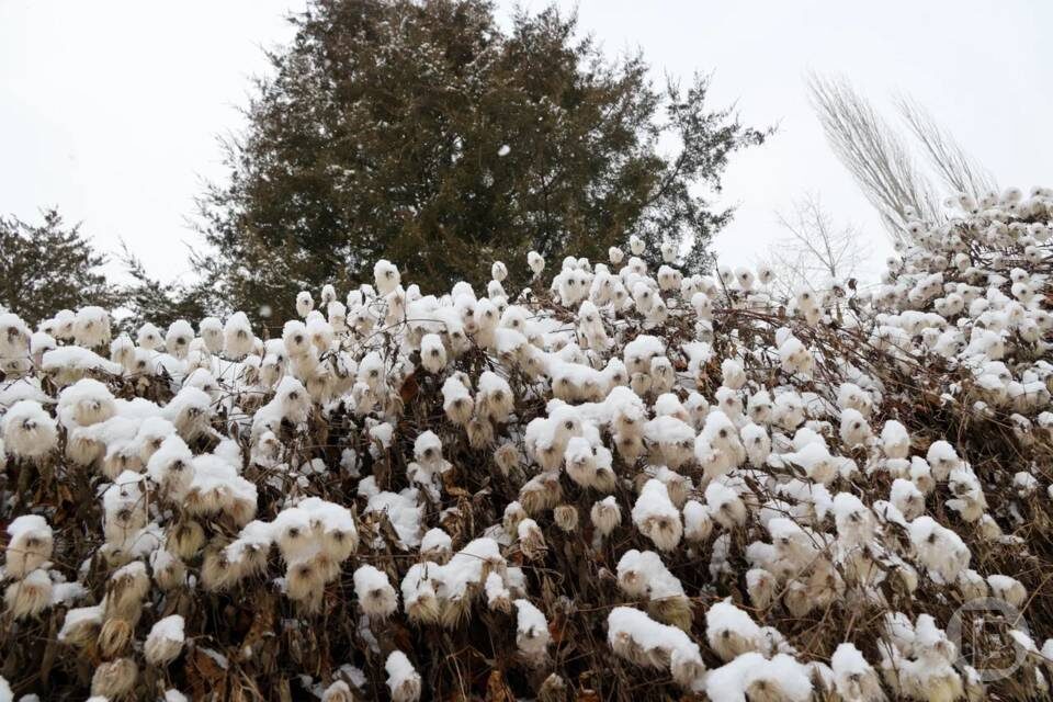    Фото: Дмитрий Рогулин/"Городские вести"