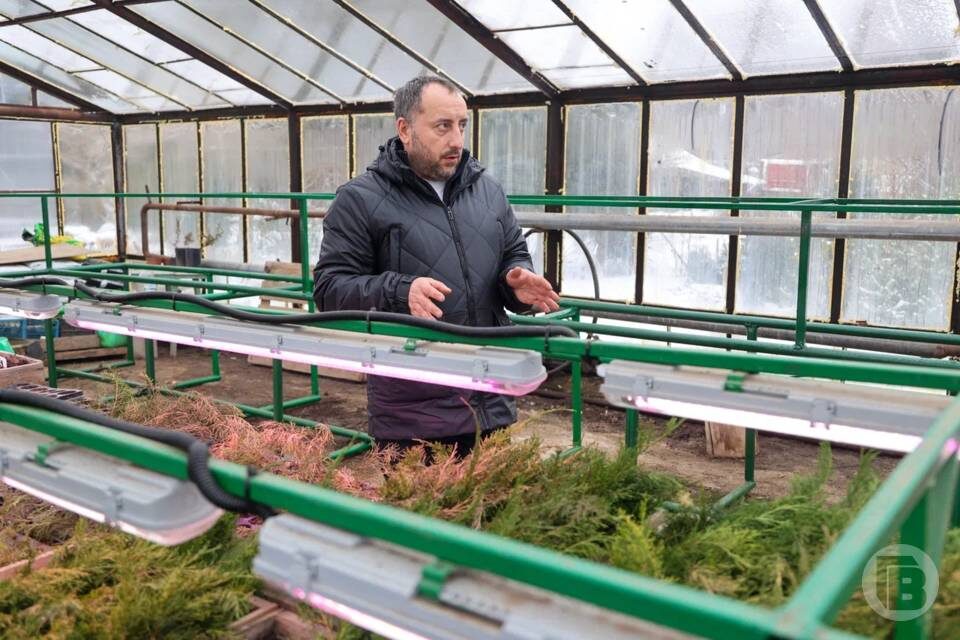    Фото: Дмитрий Рогулин/"Городские вести"