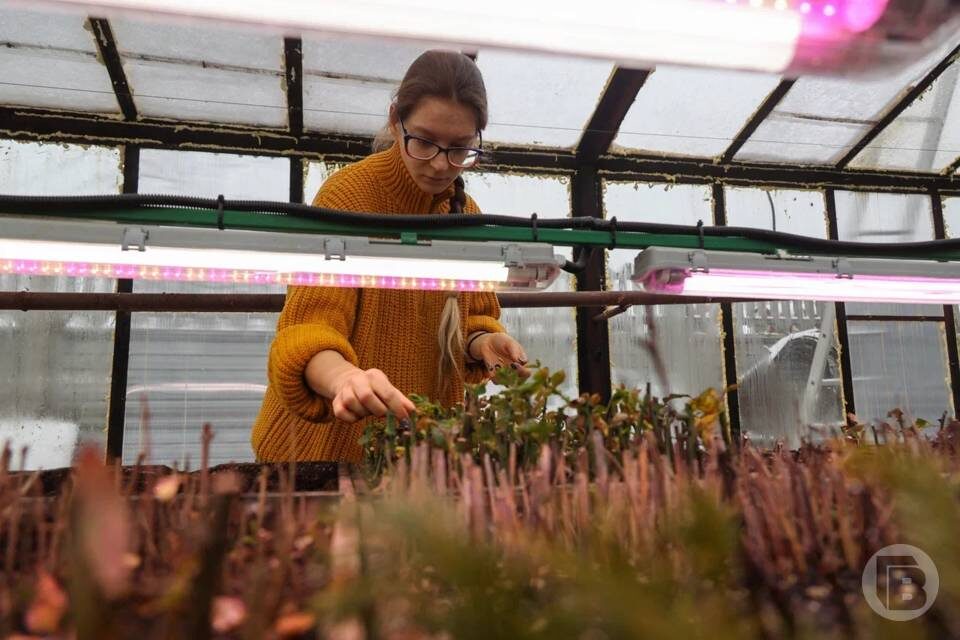    Фото: Дмитрий Рогулин/"Городские вести"