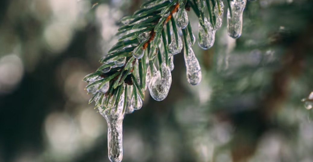 Резкое похолодание ожидает Москву и область в ближайшие выходные