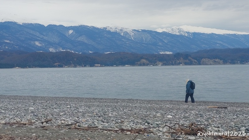 Еду одна с двумя детьми в Абхазию зимой: маршрут по дням и впечатления