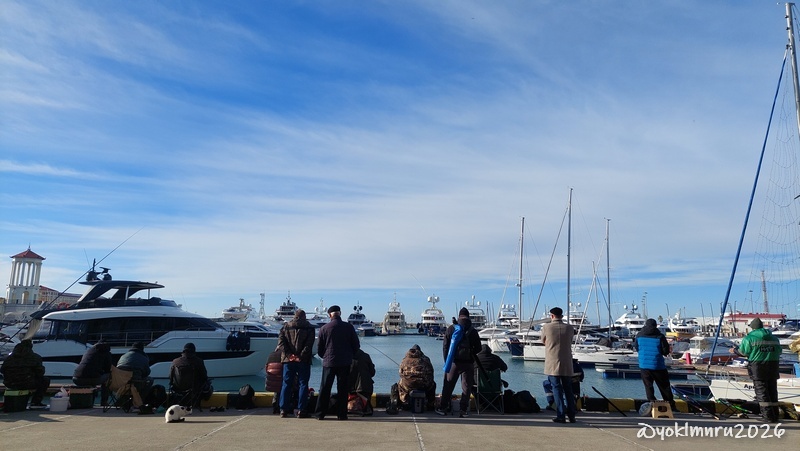 В сочинском морпорту |©yoklmnru