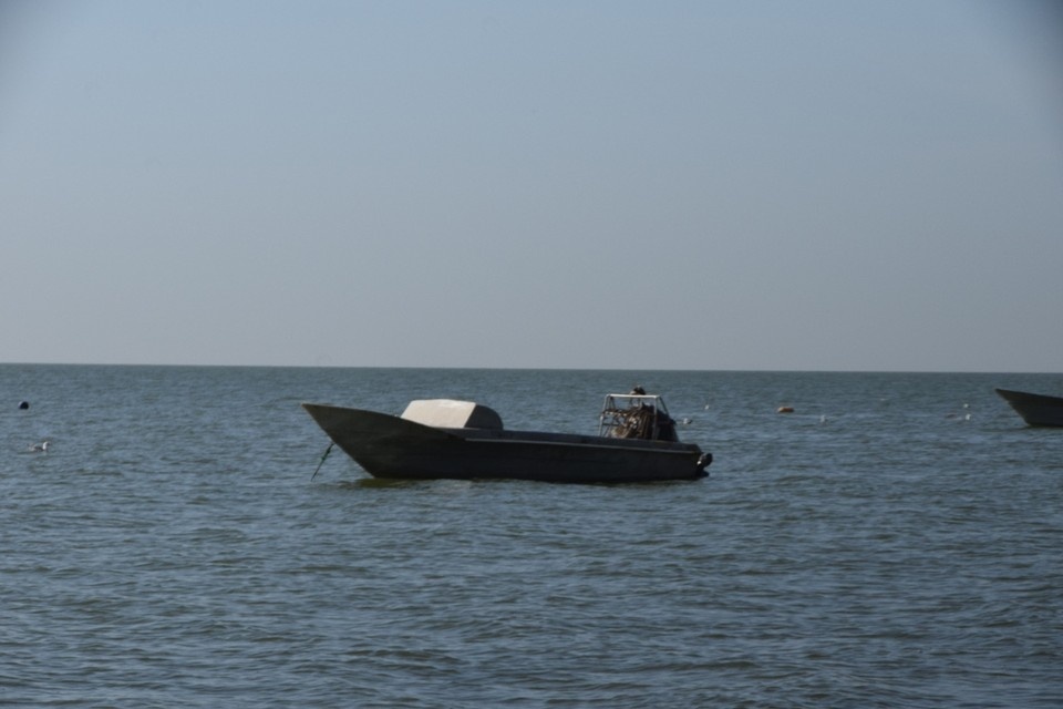  Сейчас медузы никак не используются в хозяйстве. Дмитрий КУТЕПОВ