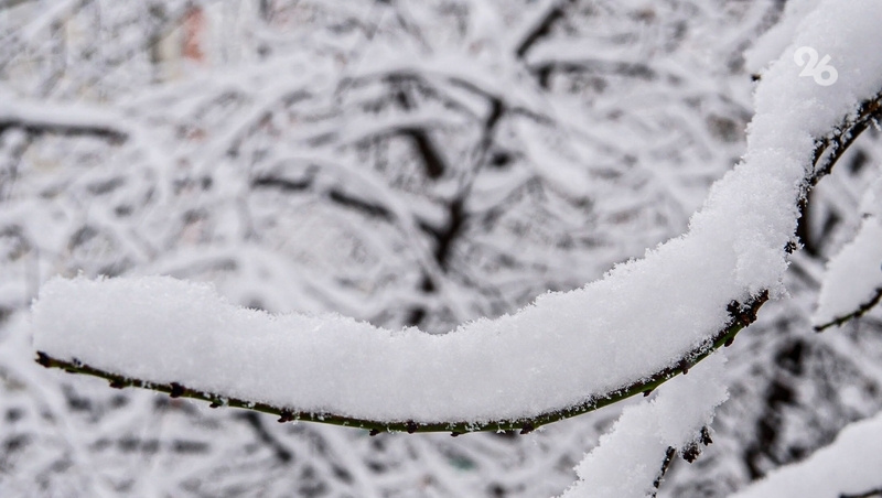      Фото: ИА «Победа26»