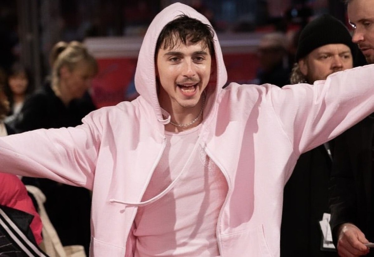    Тимоти Шаламе (Фото: Instagram* / @tchalamet)